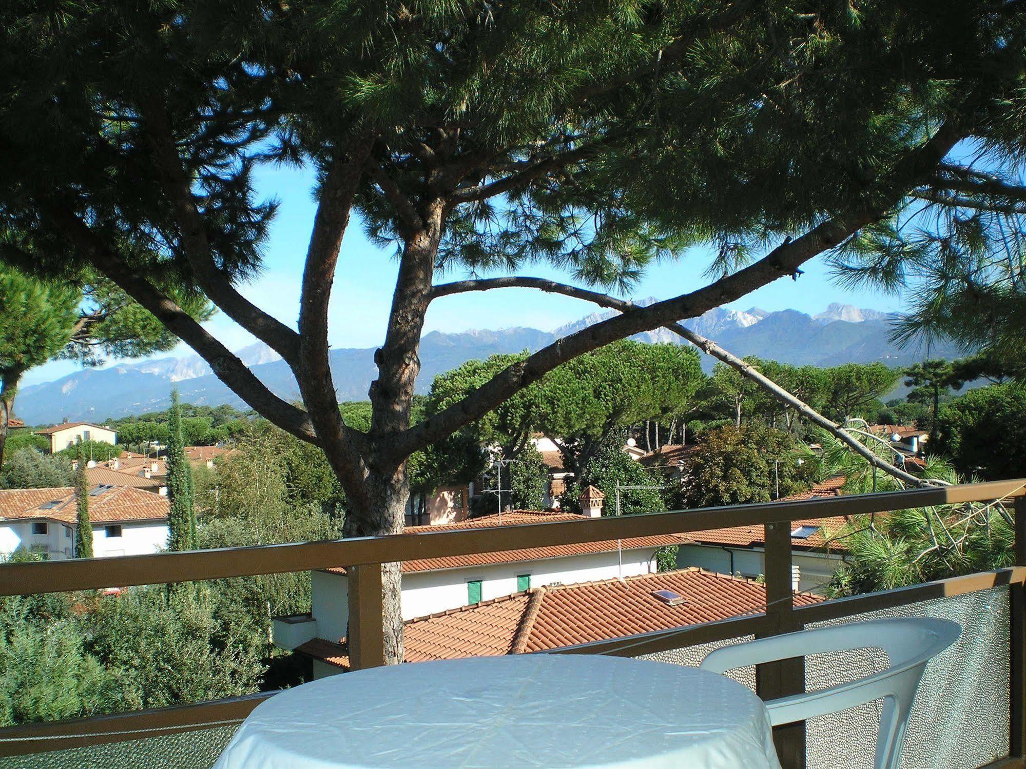 Hotel Elizabeth Marina di Pietrasanta Exteriér fotografie